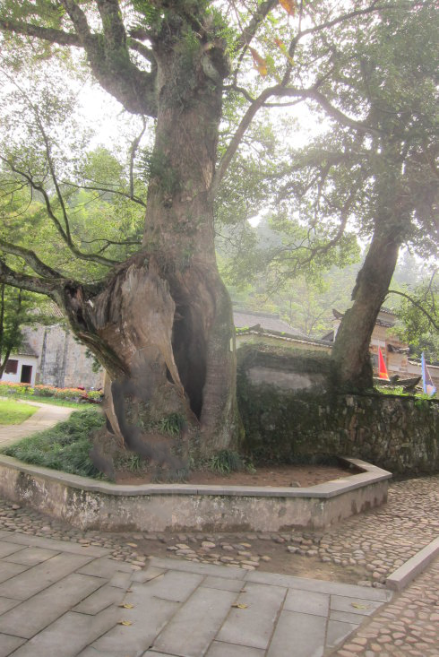 大上清宫-我不是针对谁，各地的上清宫都是弟弟4537.png