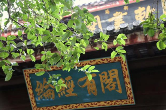 天师府-永掌天下道教事7088.png