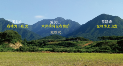 天师林- 续承文化之根，弘扬忠孝之道！1605.png